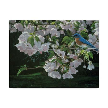 Ron Parker 'Cherry Blossoms' Canvas Art,35x47